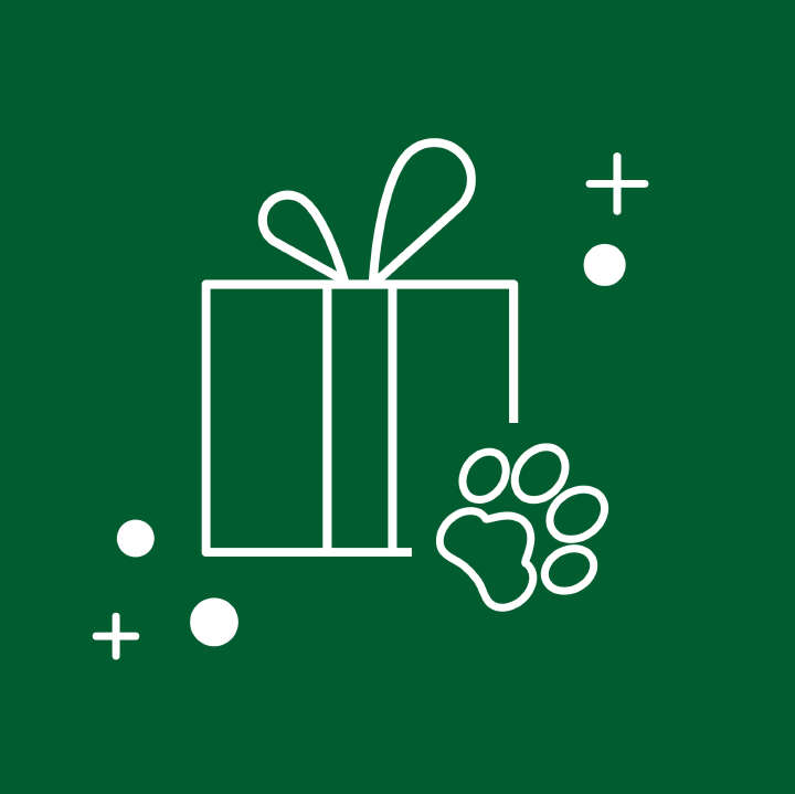 weihnacht icon mit hintergrund 360x360 3